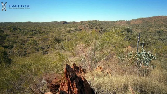 Stand-Out Simon's Find Metallurgical Test Results