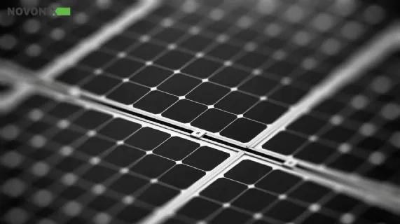 Benchmark Week 2020 Presentation