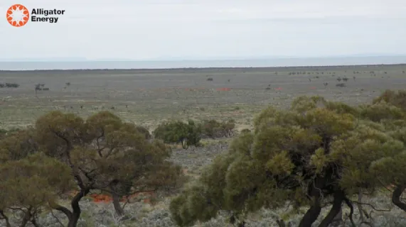 Chairman's Address - 2020 AGM