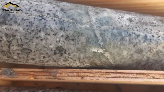 Evolution Research Report