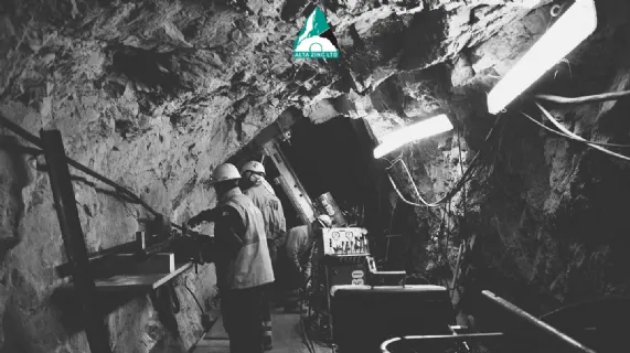 Quarterly Activities Report