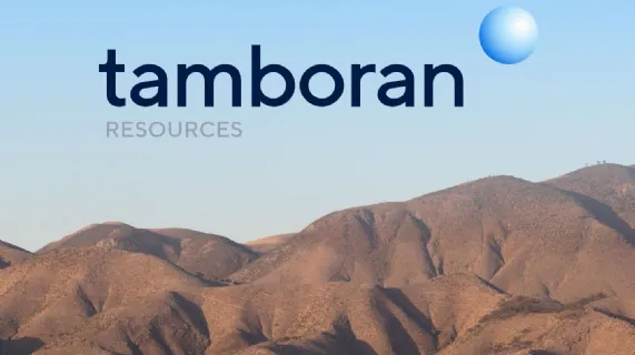 Quarterly Activities Report