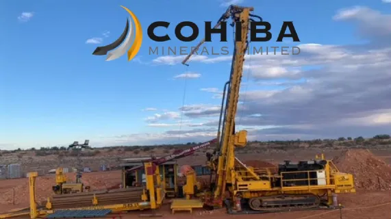 Cohiba Appoints CEO and Non-Executive Director