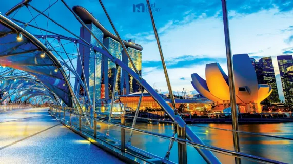 Appointment of Director