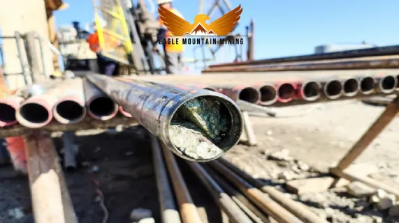 December Quarterly Report