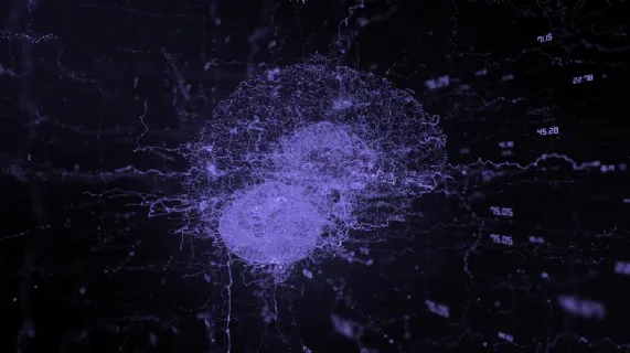 Change of Company Name