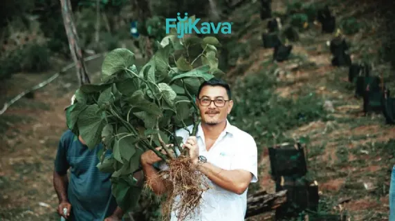 Fiji Kava to Acquire Leilo and Completion of Placement