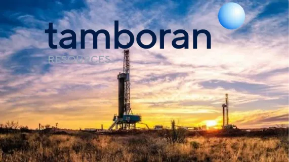 NTSC Stay Application Dismissed