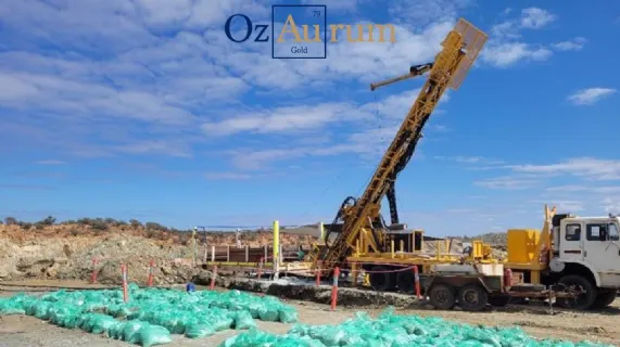 Visible Gold Intersected at the Patricia Gold Project