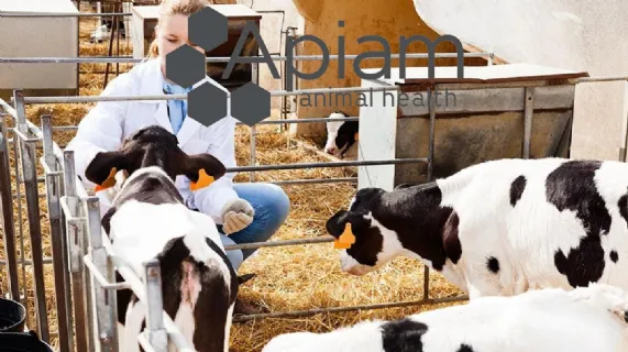 Despatch of Retail Offer Document