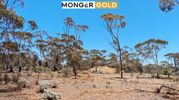 Quarterly Activities Report