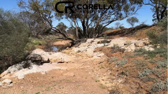 Annual Report to shareholders