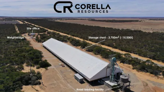 Quarterly Activities Report