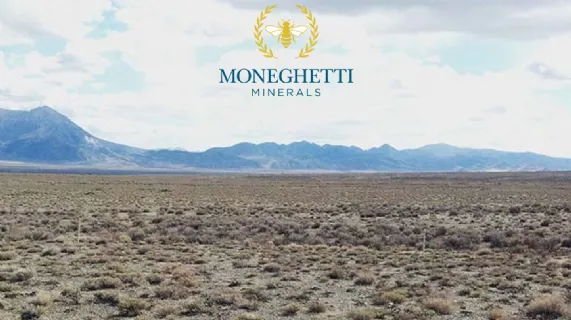 Identifies New Drill Targets at the Ecru Gold Project, Nevada