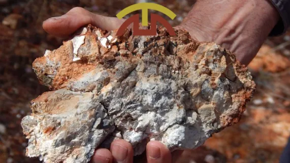 Wildflower Gold Project High Impact RC Drilling