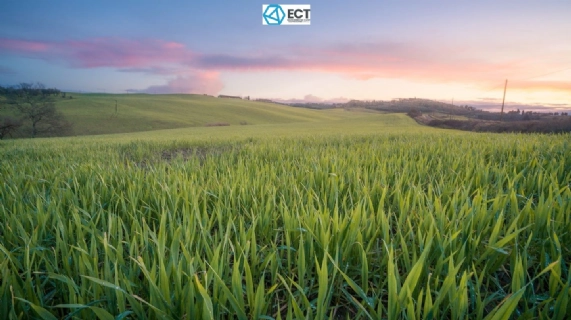 Acquisition of Rice Universitys Flash Joule Heating Technology for PFAS