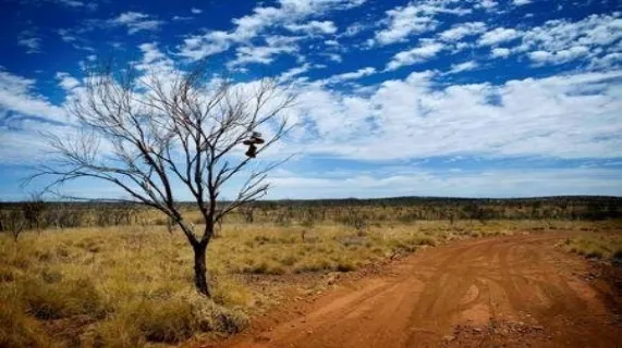 Prairie Downs Metals Limited (ASX:PDZ)