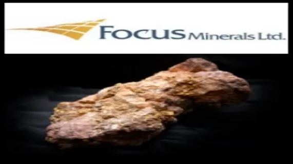 Focus Minerals Ltd (ASX:FML)