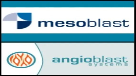 Mesoblast Limited's (ASX:MSB) Associate Company Angioblast Systems Secures New Capital