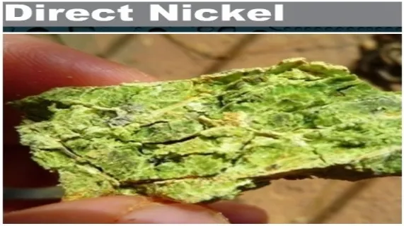 Chairman Julian Malnic Speaks with Brian Carlton about Nickel Laterite Processing