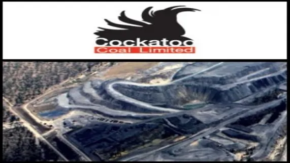 Cockatoo (ASX:COK) Teams Up with KEPCO (SEO:015760) and POSCO (SEO:005490) 