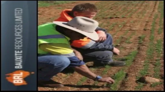 Appeals Against Bauxite Resources Limited (ASX:BAU) Assessment Dismissed