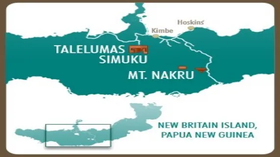 Coppermoly (ASX:COY) MD Peter Swiridiuk Speaks at Excellence in Mining 2010 in Sydney