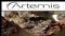 Australian Market Report of November 4, 2010: Artemis Resources (ASX:ARV) Rare Earth Results From Yangibana Confirm Strike Potential