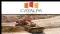 Australian Market Report of November 23, 2010: Catalpa Resources (ASX:CAH) Announced Maiden High Grade Inferred Mineral Resource at Edna May Gold Project