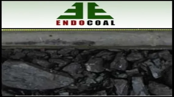 Australian Market Report of November 24, 2010: Endocoal (ASX:EOC) Orion Downs Coal Project Increased JORC Resource to 41.2Mt