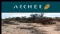 Archer Exploration Limited (ASX:AXE) Received Manganese Assay Results From Recent Drilling On EL3711