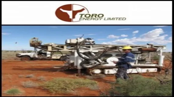 Quarterly Activities Report