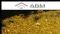 ABM Resources NL (ASX:ABU) Proceeds with North Arunta Divestment to Clancy