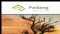 Padang Resources Limited (ASX:PXR) Commences Drilling at the Paser Project, East Kalimantan