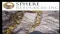 Sphere Resources Inc (OTCMKTS:SPHUF) Confirms Strategy and Upgrades Efforts to Identify Existing Gold And Silver Resources In Nevada, USA