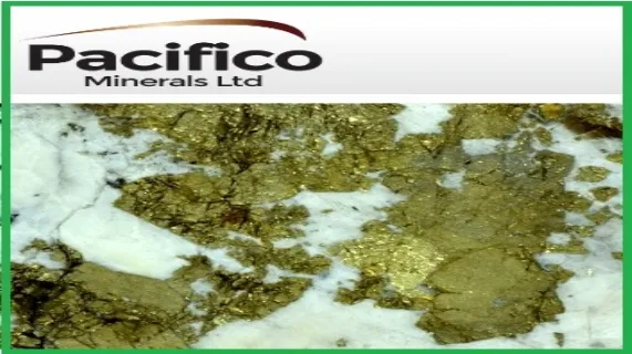 Releases Updated Research Note