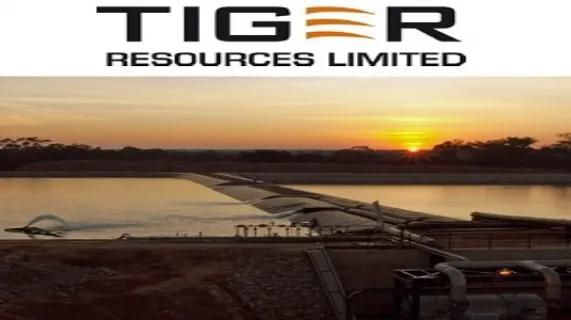 Half Yearly Report and Accounts