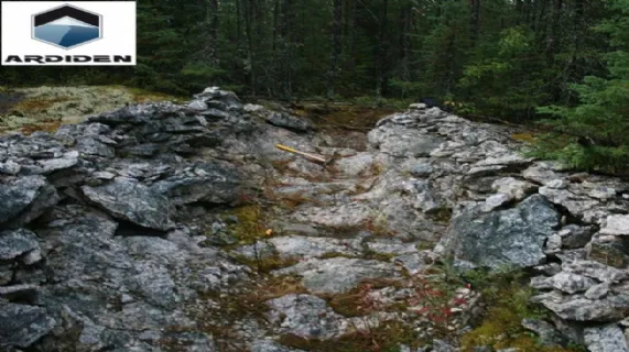 Encouraging Mineralogy Testwork From Seymour Lake