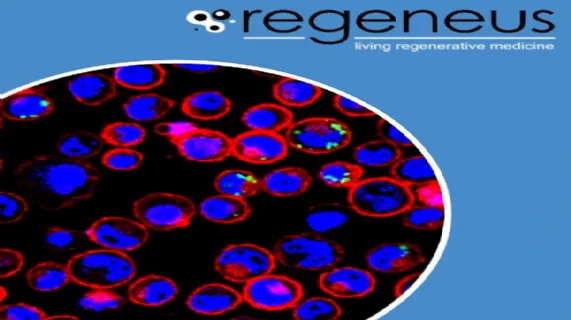 FY16 Results Presentation