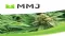 MMJ Group Holdings Ltd (ASX:MMJ) 31 August 2019 Net Tangible Asset Backing