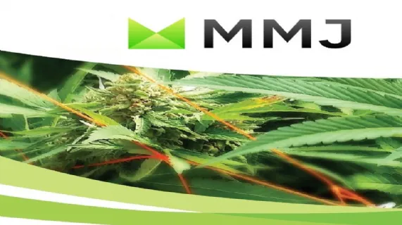 Investment in Fire & Flower