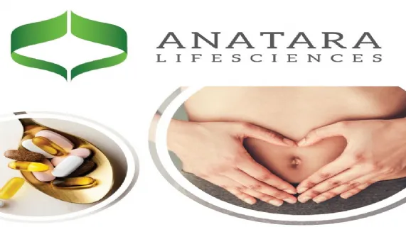 Investor Presentation