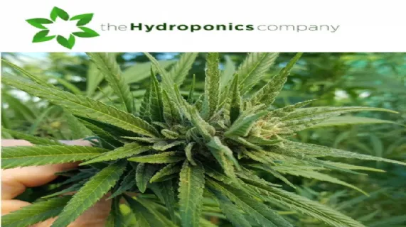 Investor Update Presentation