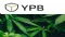 YPB Group Ltd (ASX:YPB) New Director to Join the Board