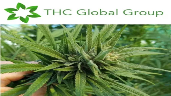 Share Purchase Plan Completed