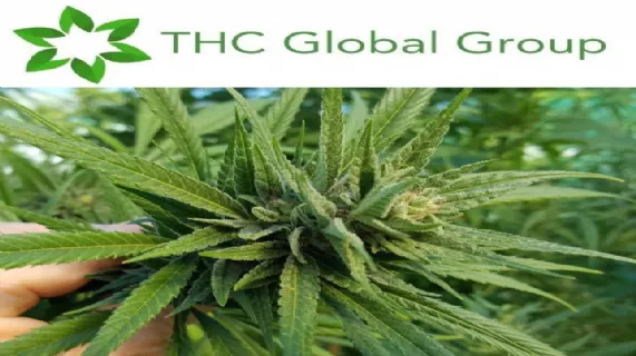THC Global Quarterly Update & Appendix 4C