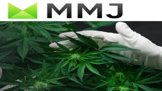 MMJ Investor Openbriefing