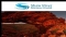 Reporte del Mercado Australiano, 21 de marzo de 2011: Shaw River (ASX:SRR) divulga Recursos Inferidos por 6.8Mton del Proyecto de Manganeso Otjozondu, en Namibia