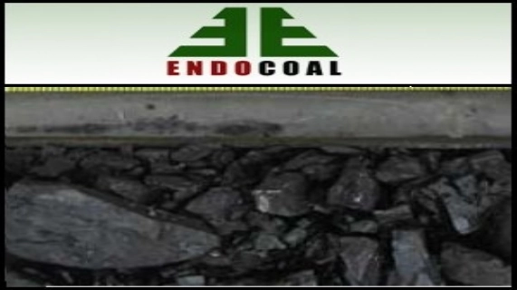 オーストラリア市場レポート　2010年11月24日： Endocoal (ASX:EOC) の Orion Downs プロジェクトで JORC 資源量が4,120万トンへ増加