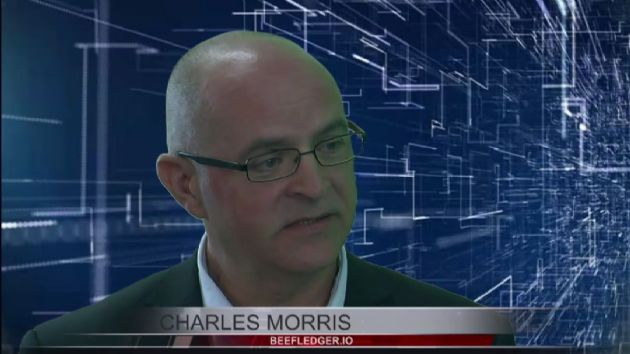FINANCE VIDEO: BeefLedger Ltd (SOAR:BEEF) Interview with Charles Morris